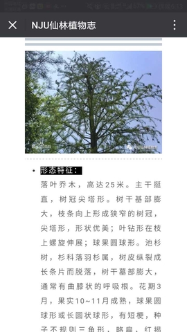 公众号植物科普的截图2